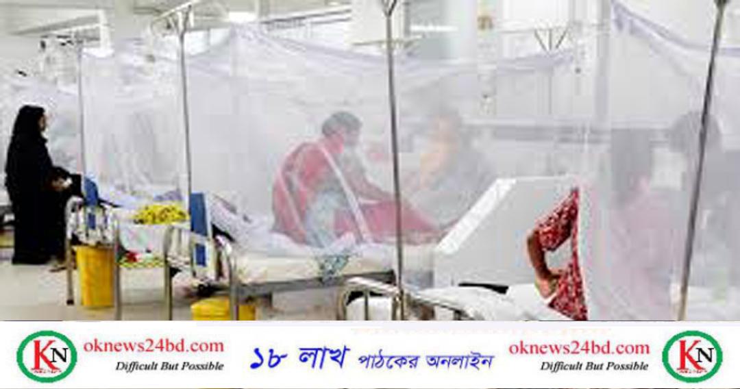 গত ২৪ ঘণ্টায় ডেঙ্গুতে আরও ২ জনের মৃত্যু, হাসপাতালে ভর্তি ৭৬২ জন